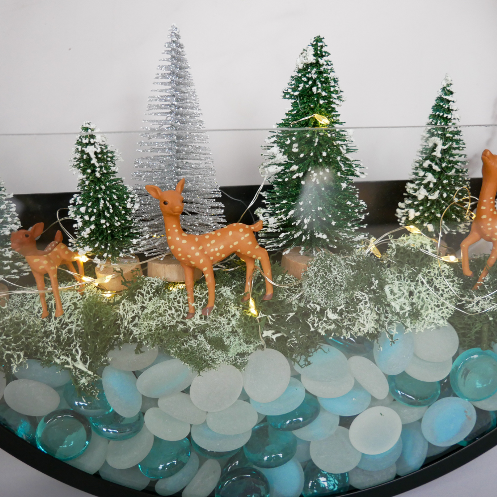 Winter Wonderland Wall Terrarium Kit