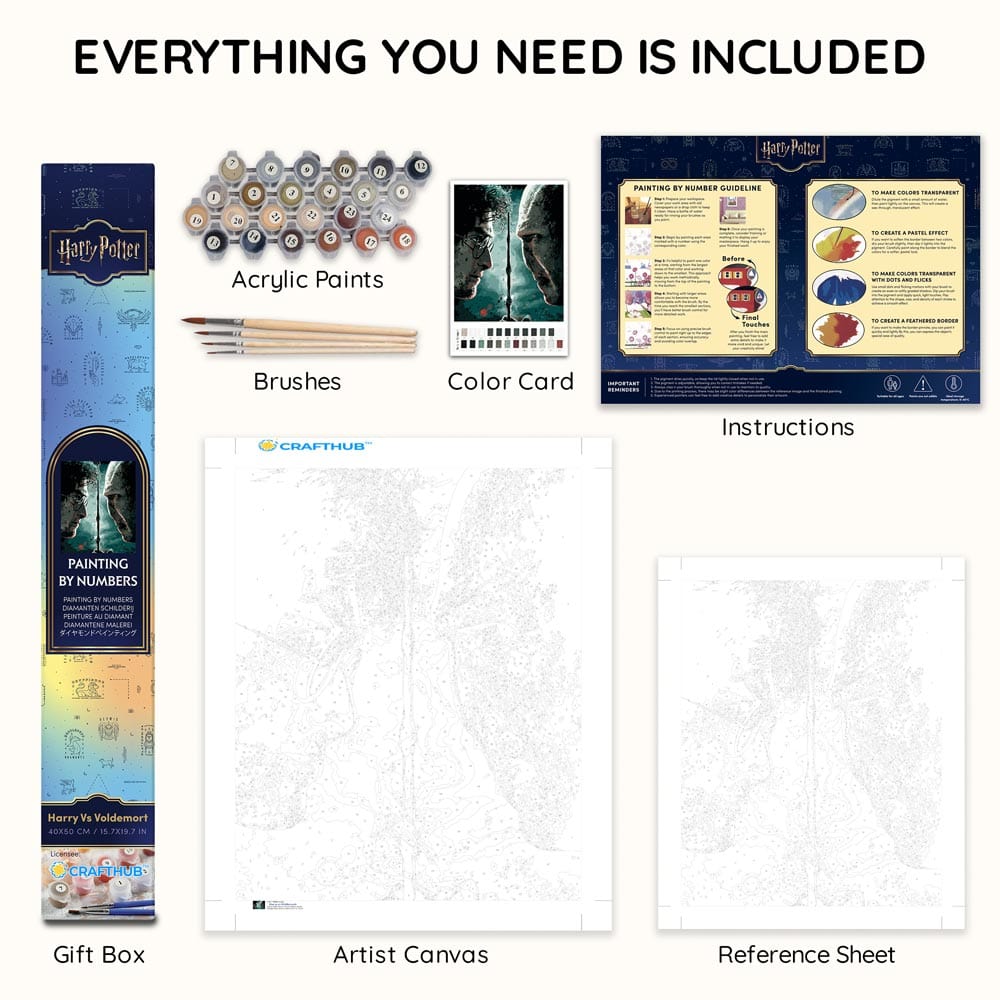 Harry vs Voldemort - Paint By Numbers Kit