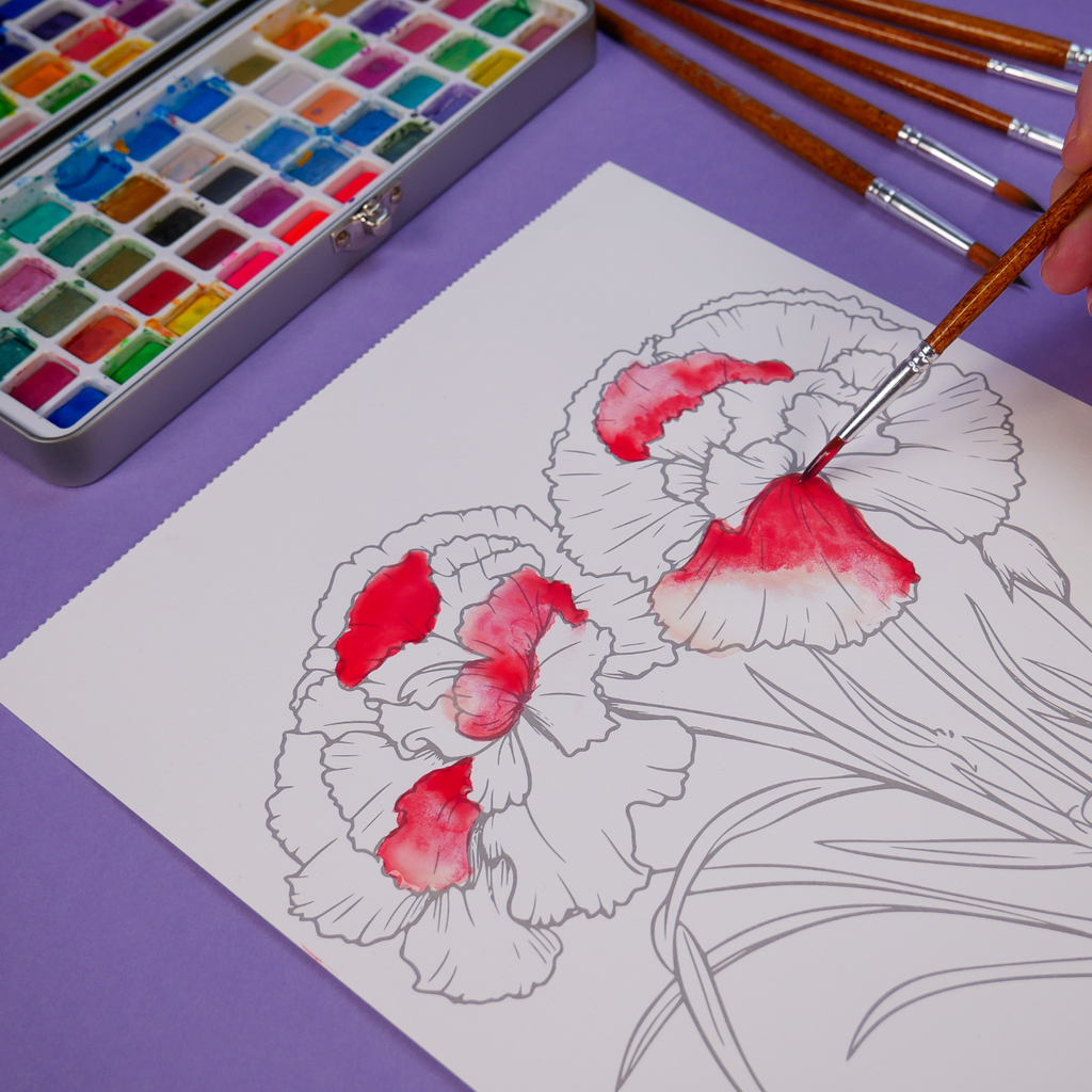 Watercolor Workbook Kit