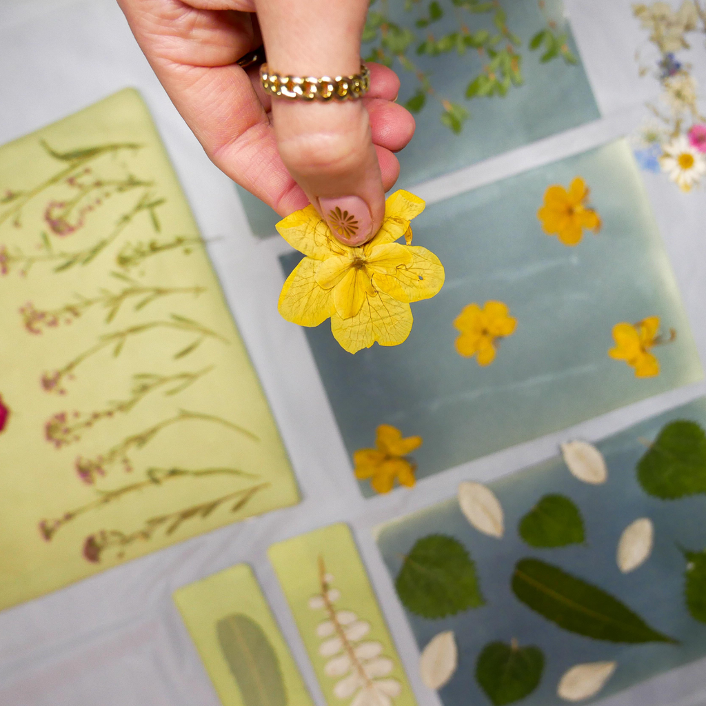 Cyanotype Kit