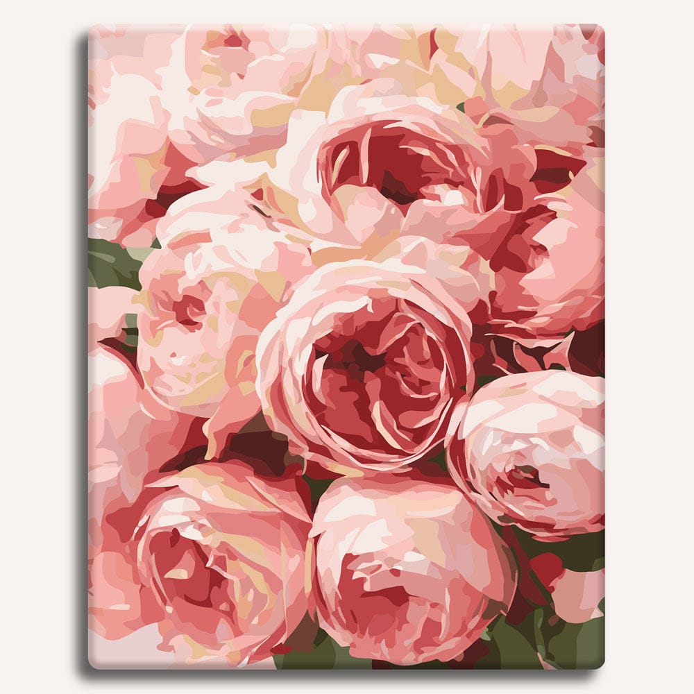 Pink Roses  - Paint By Numbers Kit