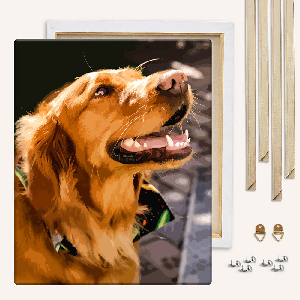 Custom Paint by Numbers Kit