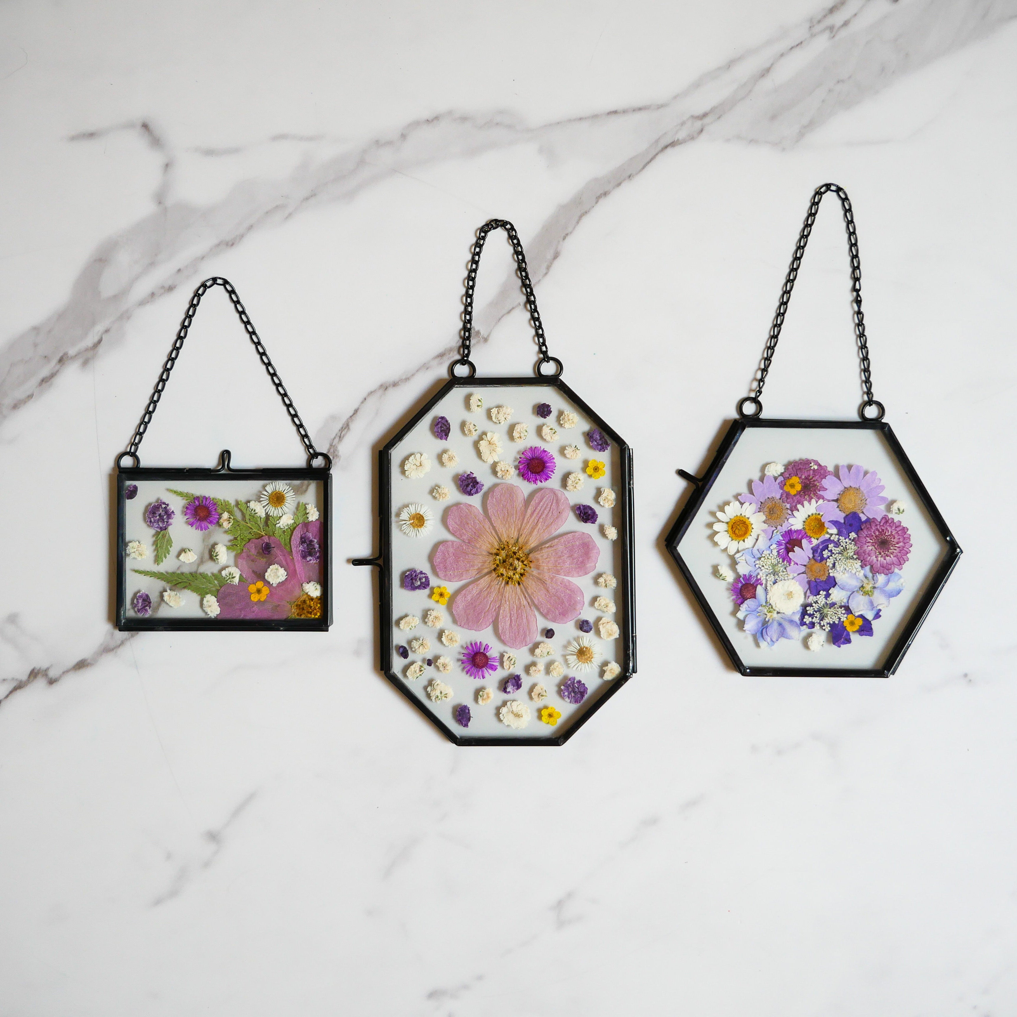 Framed Pressed Flowers Kit