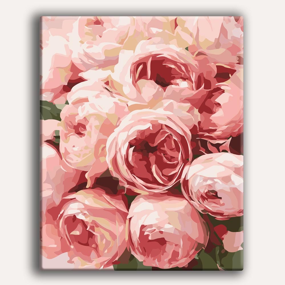 Pink Roses  - Paint By Numbers Kit