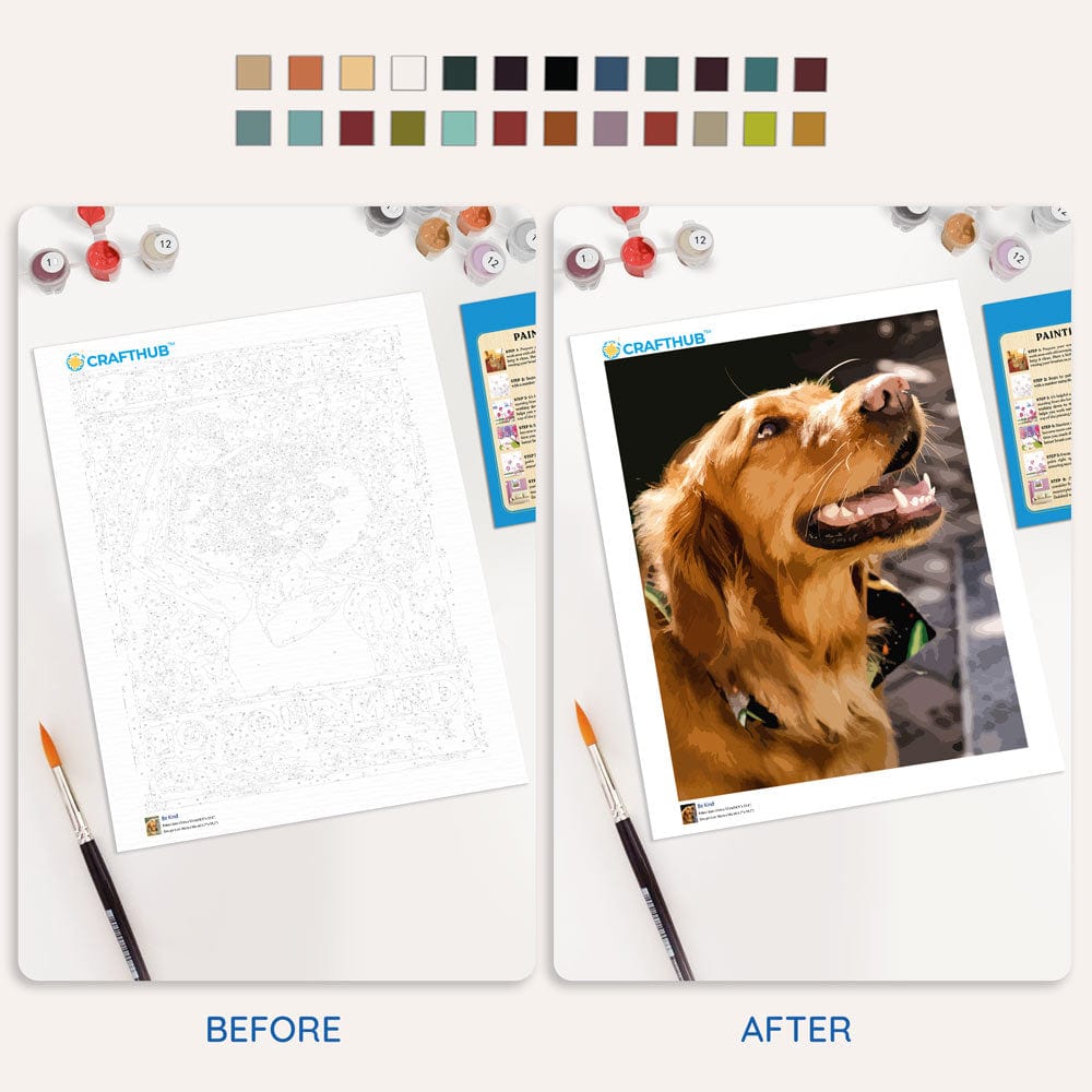 Custom Paint by Numbers Kit