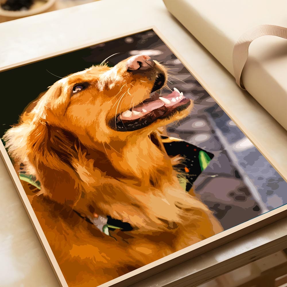 Custom Paint by Numbers Kit