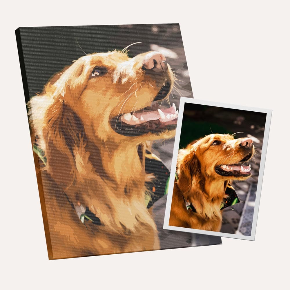 Custom Paint by Numbers Kit